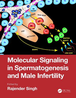 Molecular Signaling in Spermatogenesis and Male Infertility book