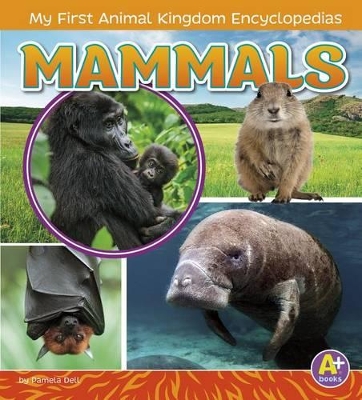 Mammals by Lisa J. Amstutz