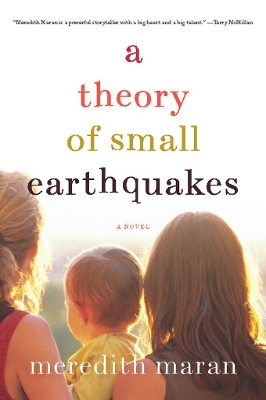 Theory of Small Earthquakes book