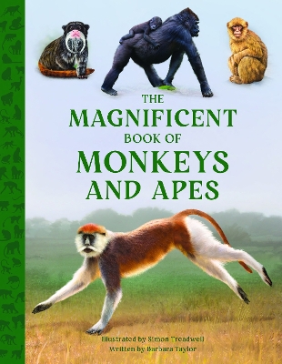 The Magnificent Book of Monkeys and Apes by Barbara Taylor