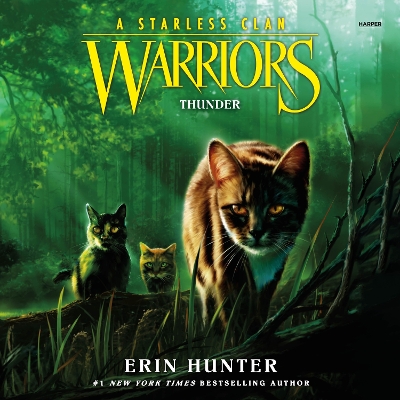 Warriors: a Starless Clan #4: Thunder book