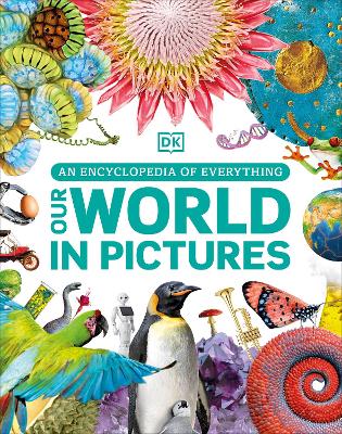 Our World in Pictures: An Encyclopedia of Everything by DK