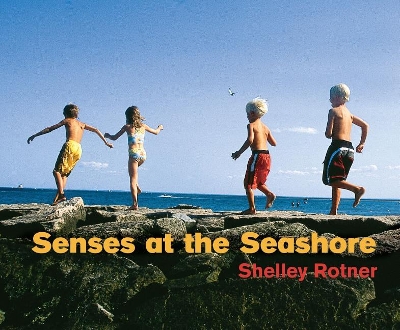 Senses at the Seashore book