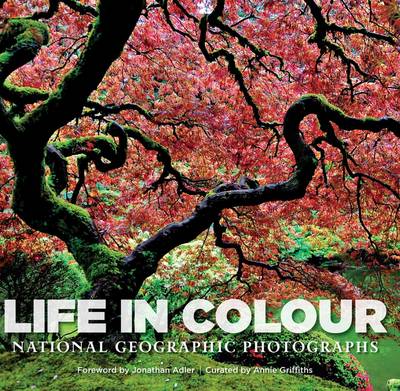 Life in Color by Annie Griffiths