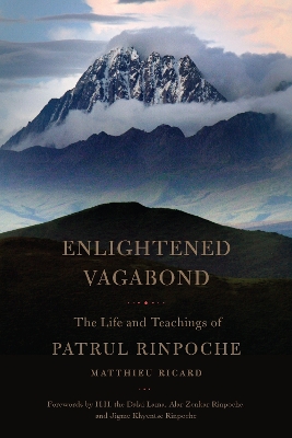 Enlightened Vagabond book