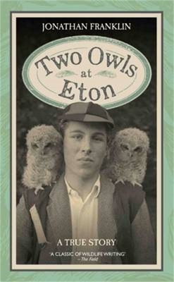 Two Owls at Eton book