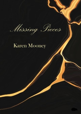 Missing Pieces book