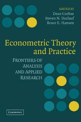 Econometric Theory and Practice book