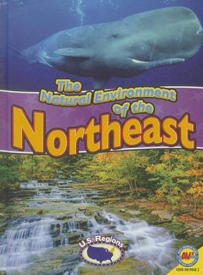 The The Natural Environment of the Northeast by Blaine Wiseman