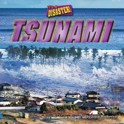 Tsunami book