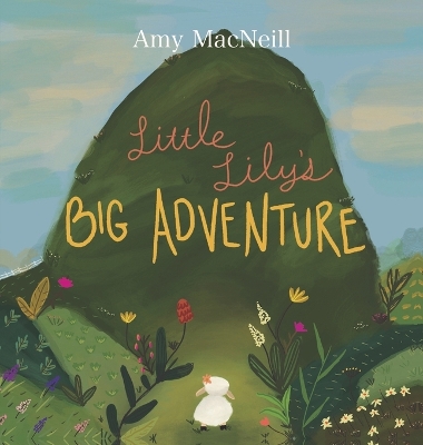 Little Lily's Big Adventure book