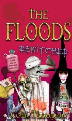 Bewitched book