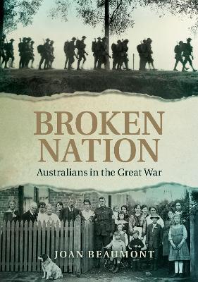 Broken Nation book