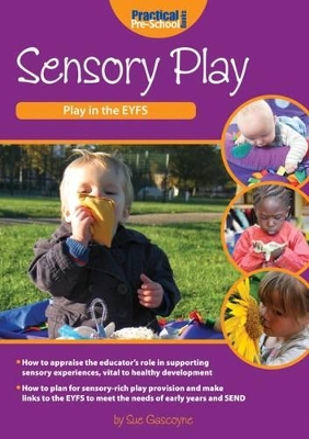 Sensory Play book