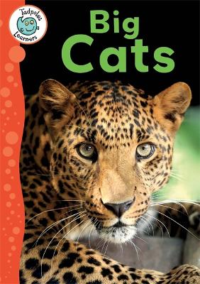 Tadpoles Learners: Big Cats book