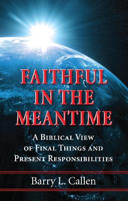 Faithful in the Meantime book