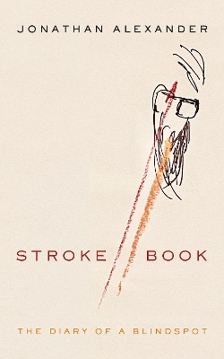 Stroke Book: The Diary of a Blindspot book