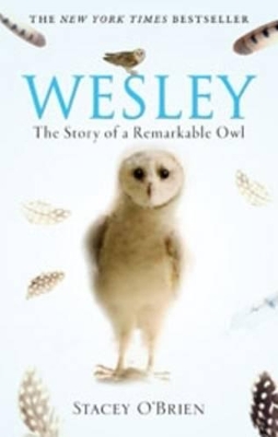 Wesley: The Story Of A Remarkable Owl book
