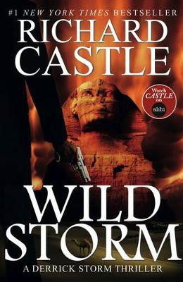 Wild Storm by Richard Castle