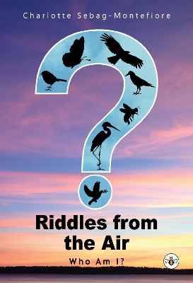 Riddles from the Air book