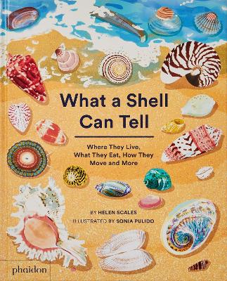 What A Shell Can Tell book
