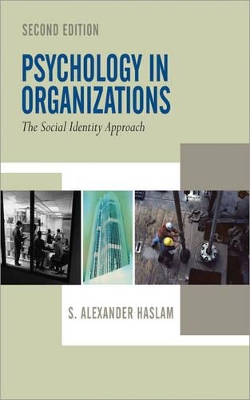 Psychology in Organizations book