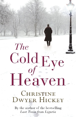 Cold Eye of Heaven book