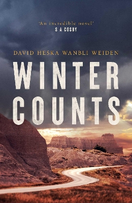 Winter Counts by David Heska Wanbli Weiden