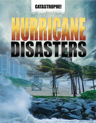 Hurricane Disasters book