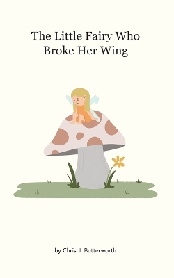 The Little Fairy Who Broke Her Wing book