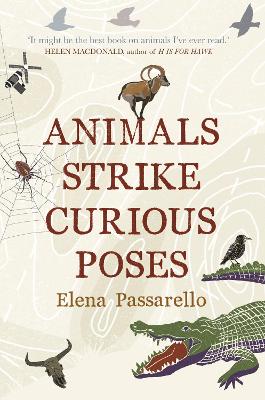 Animals Strike Curious Poses book