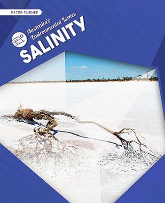 Salinity by Peter Turner