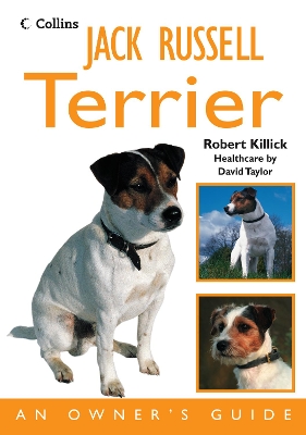 Jack Russell Terrier book