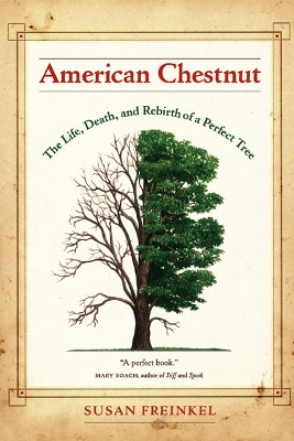 American Chestnut by Susan Freinkel