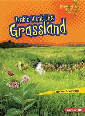 Let's Visit the Grassland book