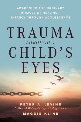 Trauma Through A Childs Eyes book