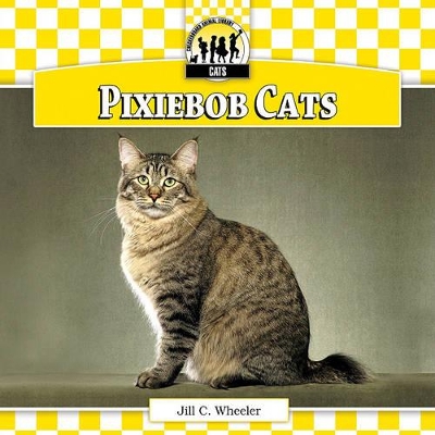 Pixiebob Cats book