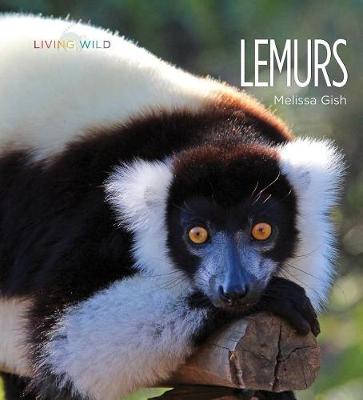 Lemurs by Melissa Gish