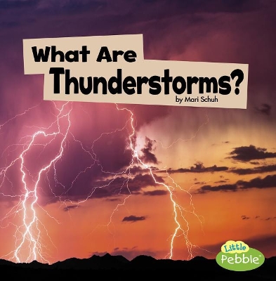 What Are Thunderstorms? book