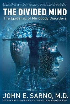 Divided Mind book