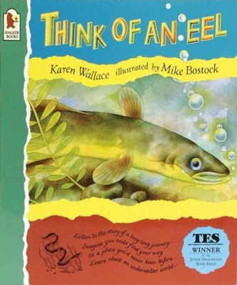 Think Of An Eel (Big Book) book