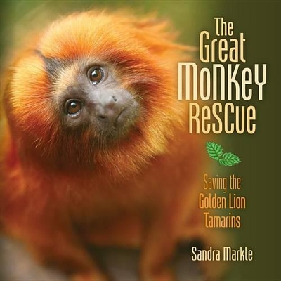 Great Monkey Rescue book