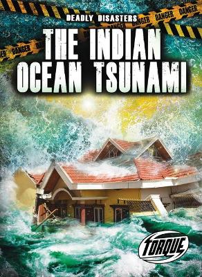 The Indian Ocean Tsunami book