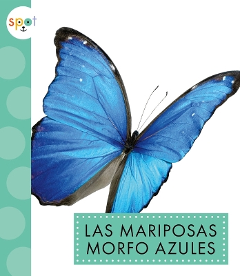 Las Mariposas Morfo Azules book