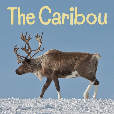 The Caribou: English Edition book