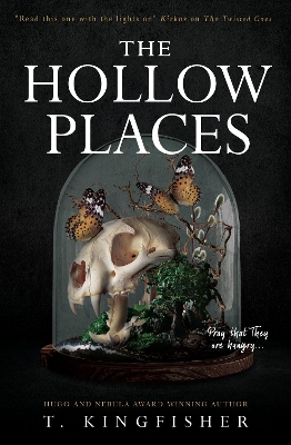 The Hollow Places book