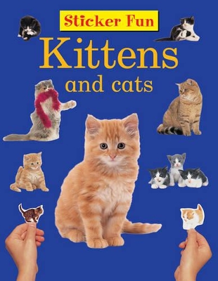 Sticker Fun - Kittens & Cats book