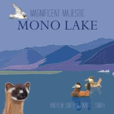 Magnificent Majestic Mono Lake book