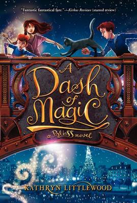 Dash of Magic book