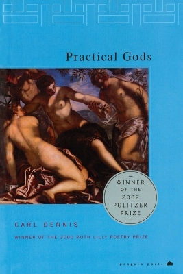 Practical Gods book